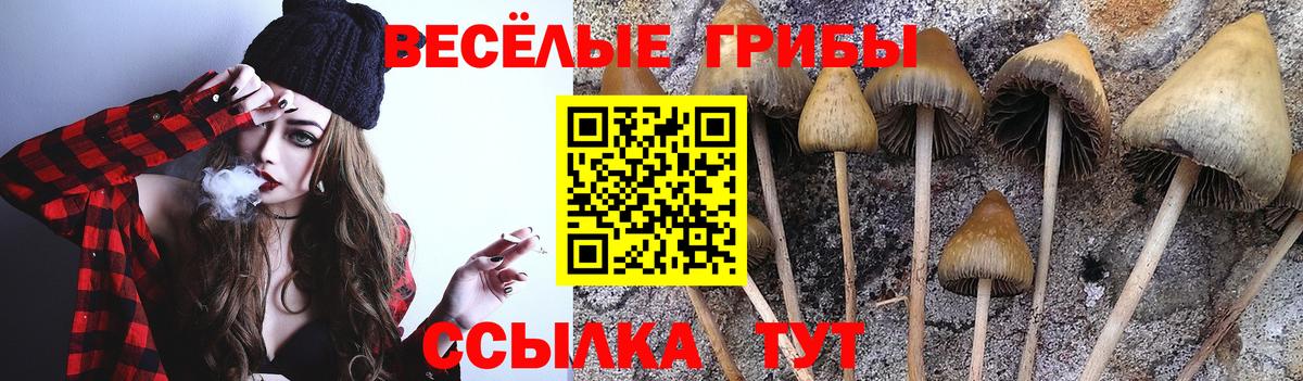 Псилоцибиновые грибы MAGIC MUSHROOMS Свободный