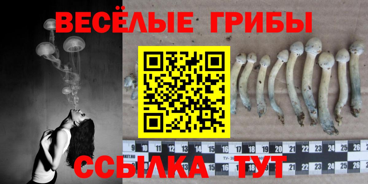 Псилоцибиновые грибы GOLDEN TEACHER  Псилоцибиновые грибы Magic Shrooms  Вход с VPN  Свободный 